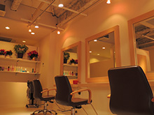 salon05.jpg